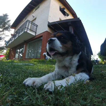 Casa Coiri Apartament